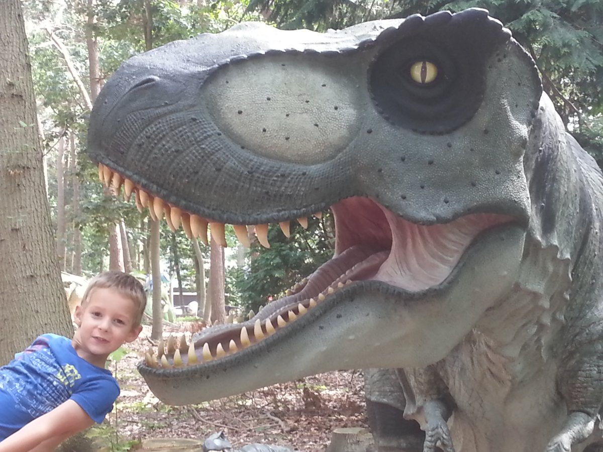 20150811_143536.jpg