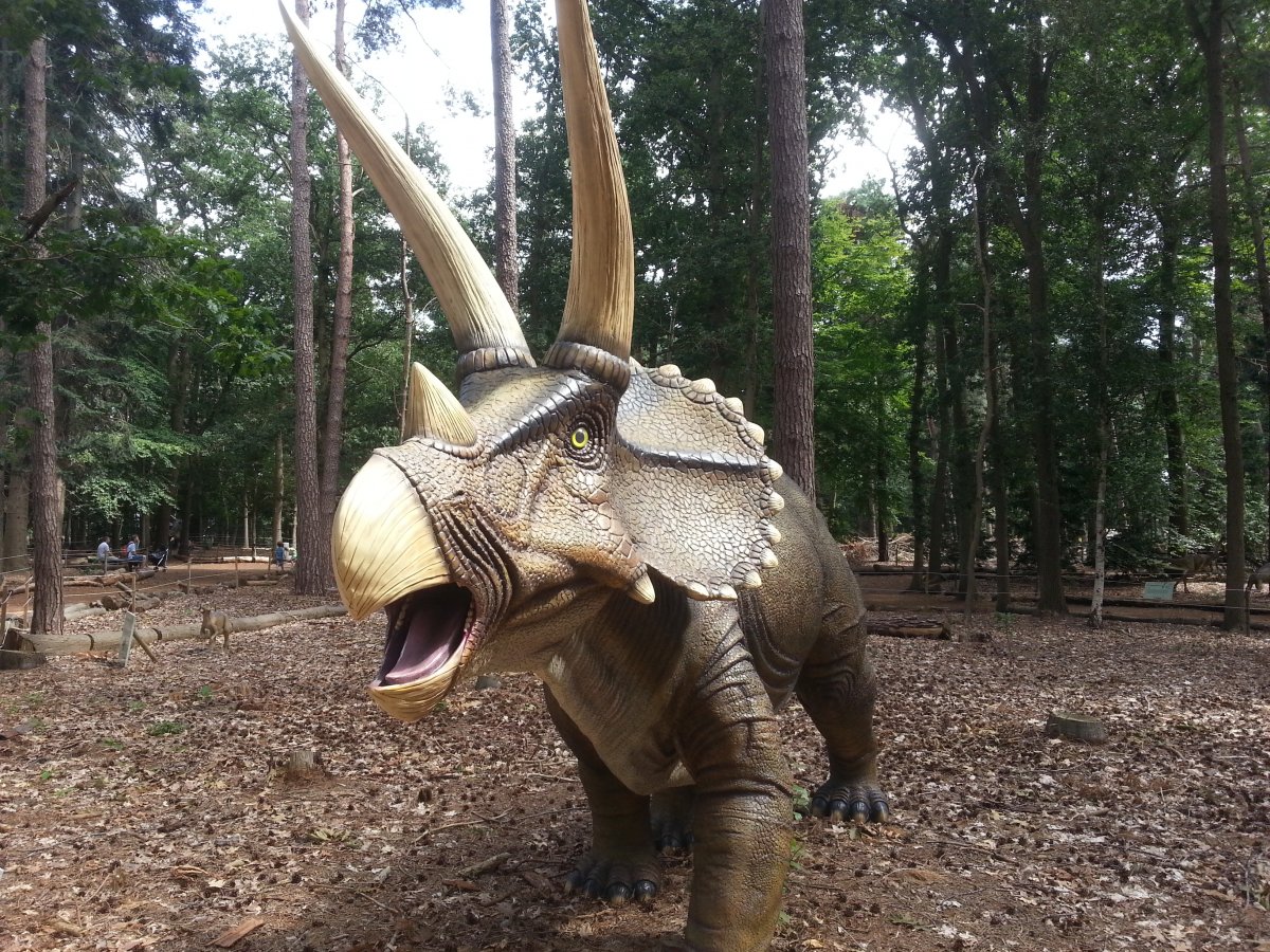 20150811_143647.jpg