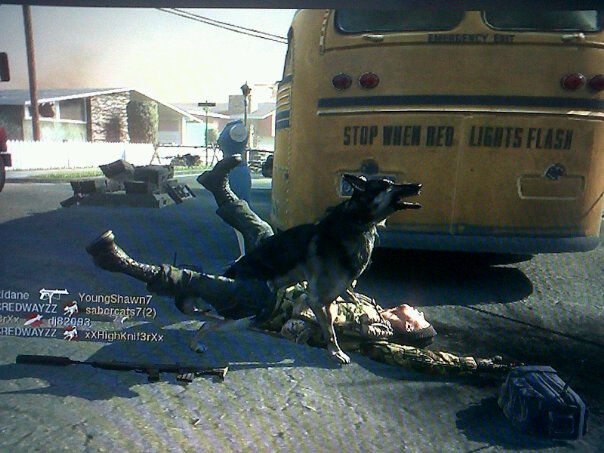black ops dog.jpg