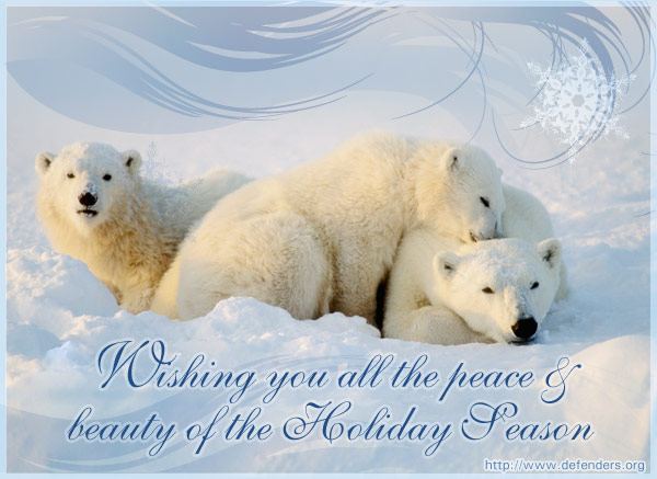 dow-e-card.jpg