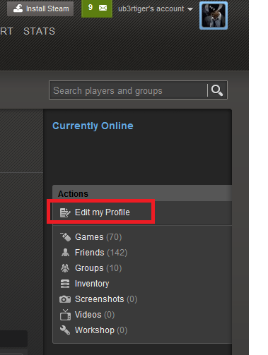 steam profil 1.PNG